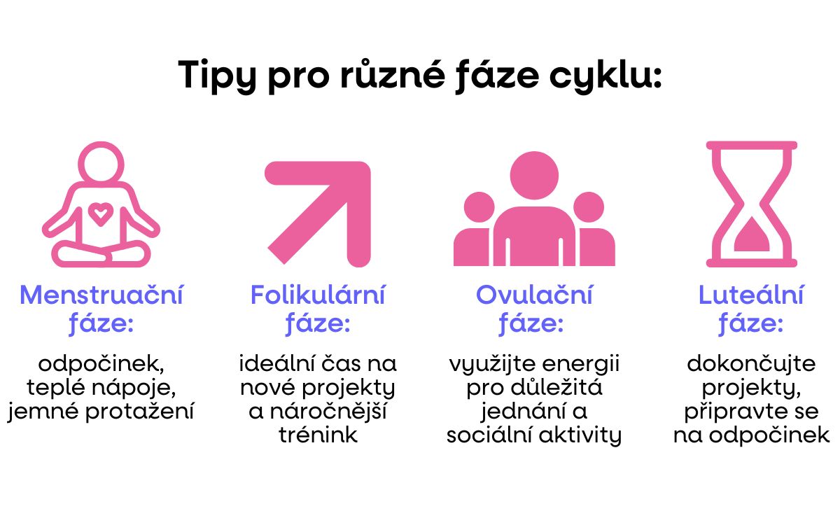 typy pro rozne faze cyklu